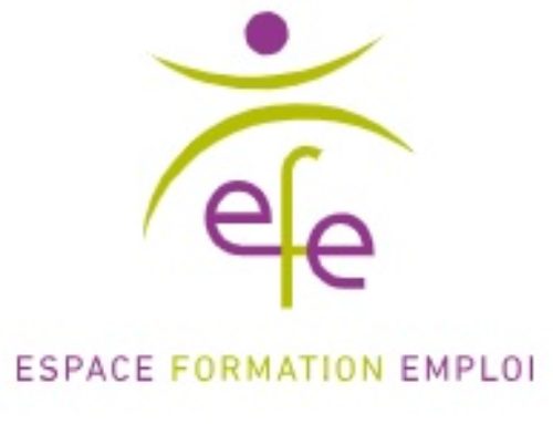 ESPACE FORMATION EMPLOI (EFE)
